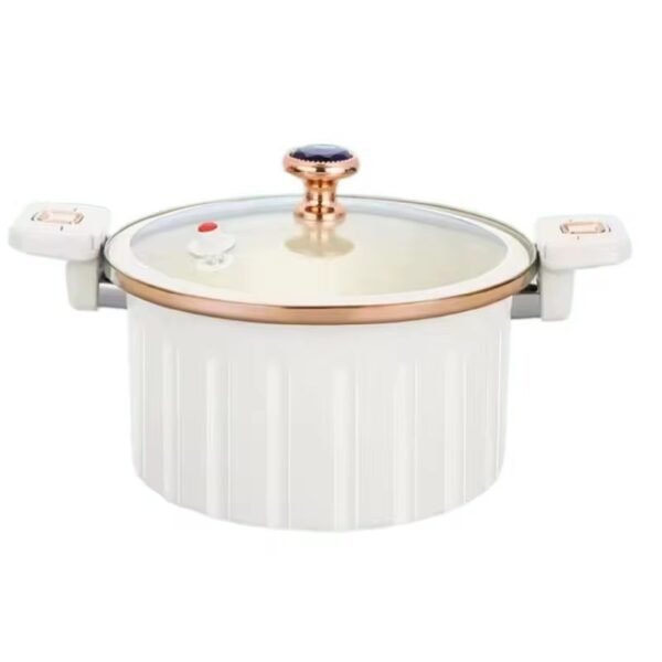 Micro Pressure Cooker pot
