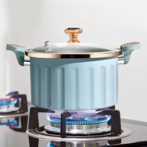 Micro Pressure Cooker pot