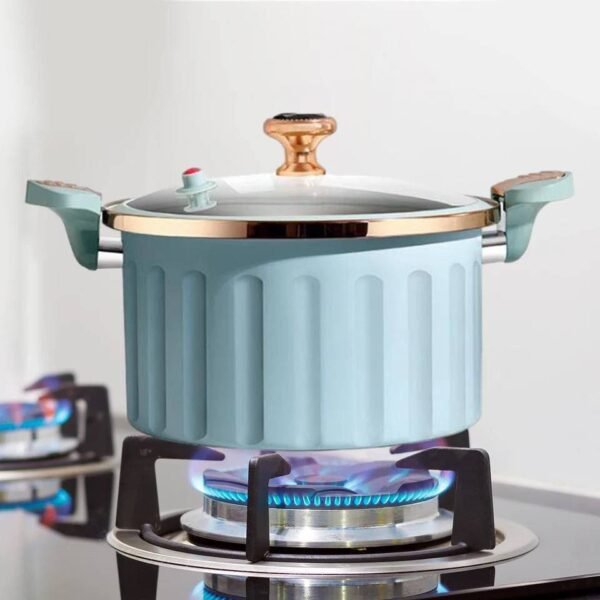 Micro Pressure Cooker pot